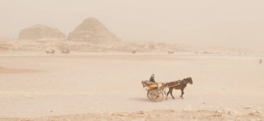 Donkey pulling a cart in front of pyramids in Egypt