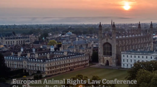 Cambridge University, England, at sunset