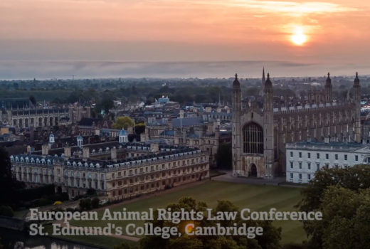 Cambridge University, England, at sunset
