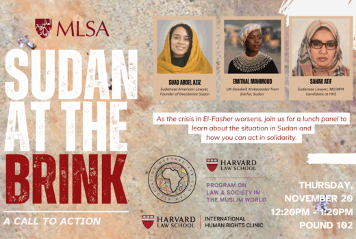 Poster for the event "Sudan at the Brink."